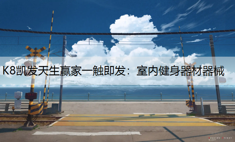K8凯发天生赢家一触即发：室内健身器材器械