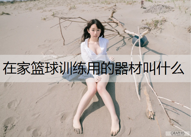 在家篮球训练用的器材叫什么