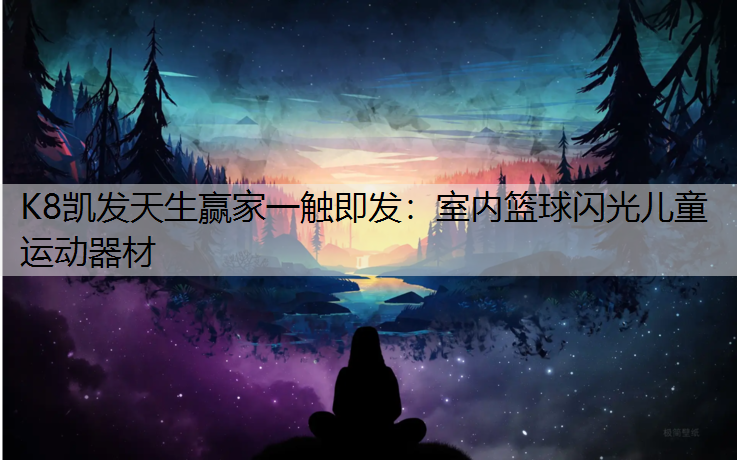 K8凯发天生赢家一触即发：室内篮球闪光儿童运动器材