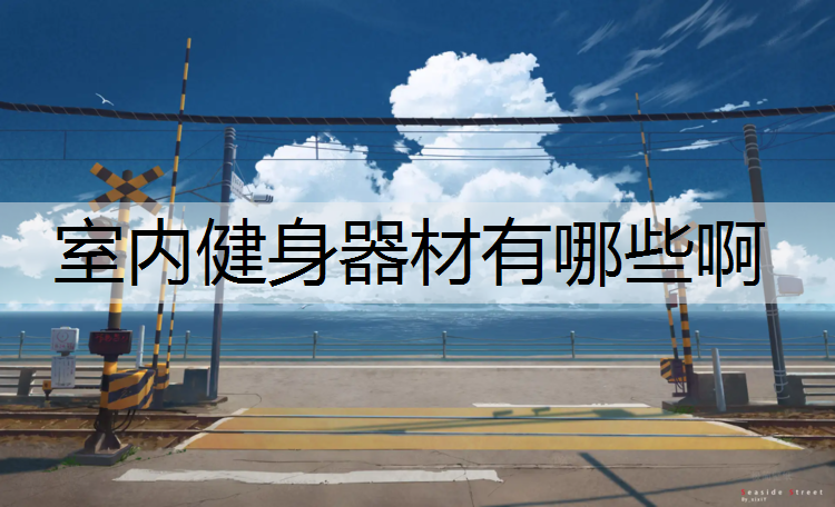 室内健身器材有哪些啊