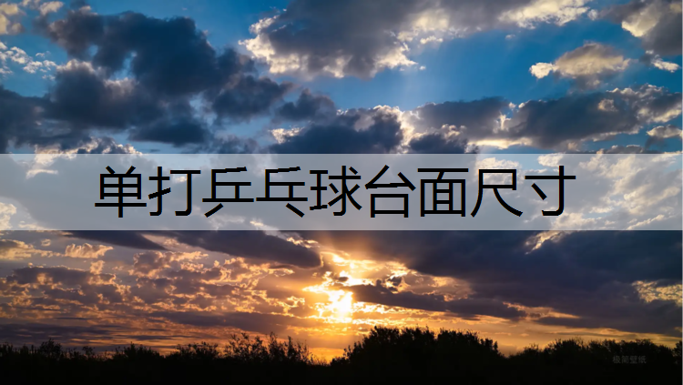 单打乒乓球台面尺寸