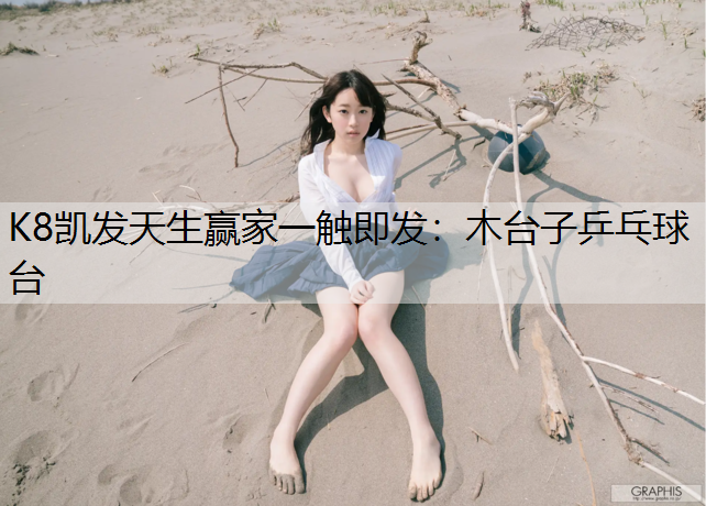 木台子乒乓球台